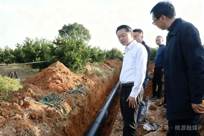 书记.png
