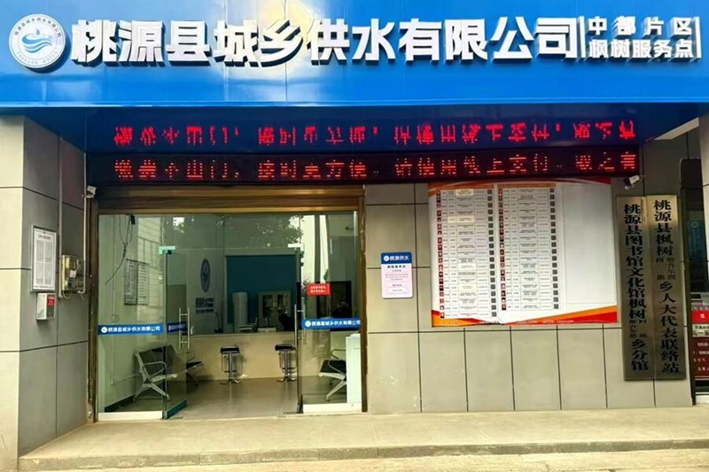 枫树2.jpg