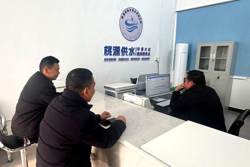 枫树3.jpg